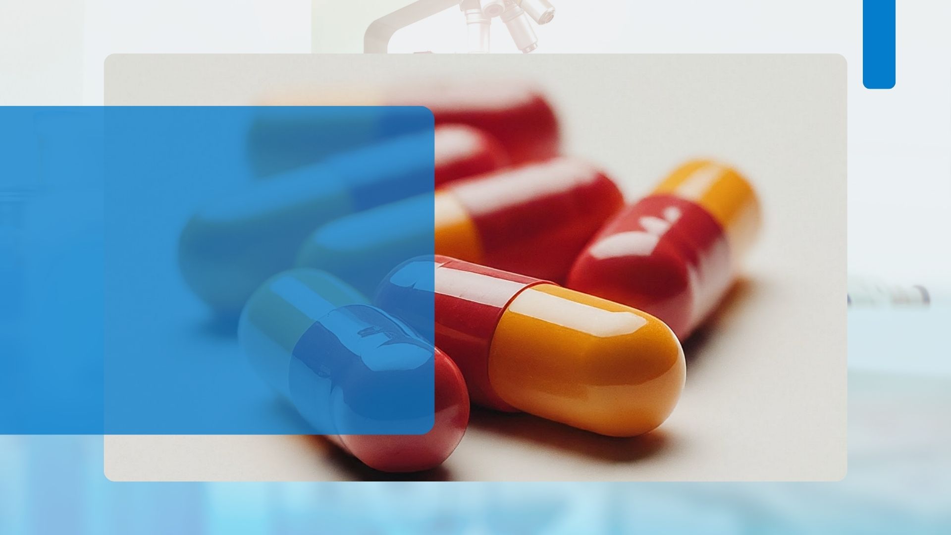 Navigating Building Resilience in Manufacturing Through Hard Gelatin Capsules