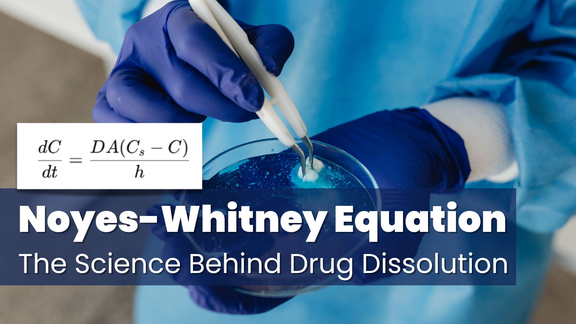 Understanding the Noyes-Whitney Equation