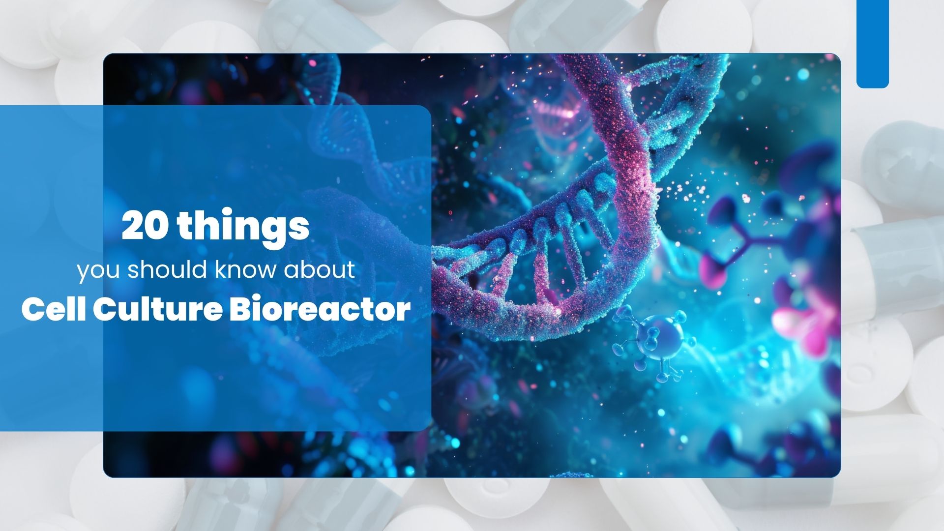 Cell Culture Bioreactor – 20 things you should know